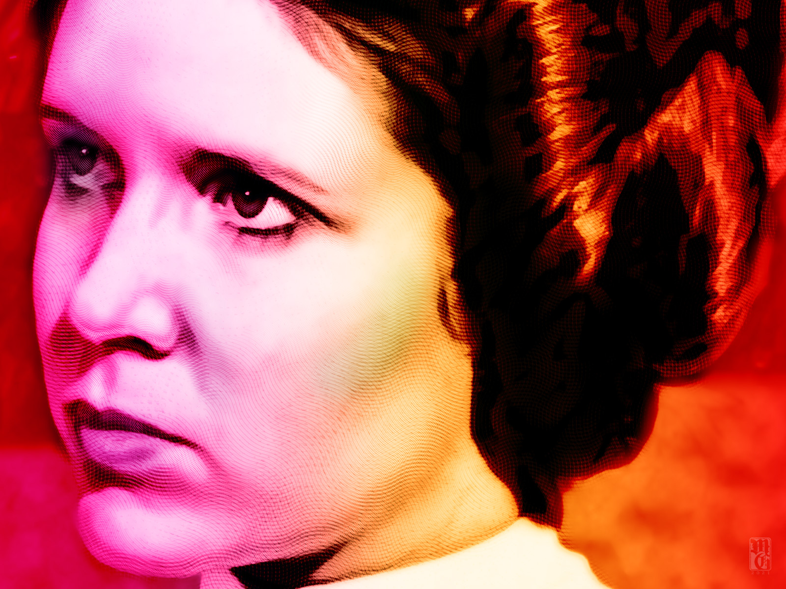 Detail of Princess Leia
